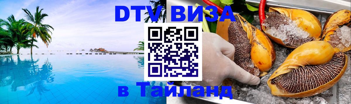 Оформление DTV визы под ключ: стоимость и тарифы, только загранпаспорт - Вена 